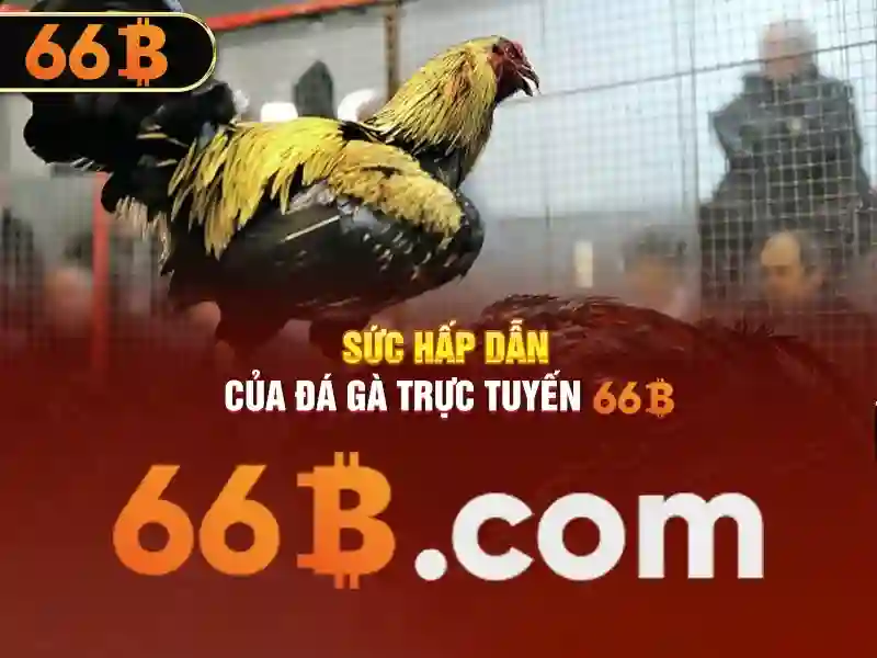 đăng xuất 66b