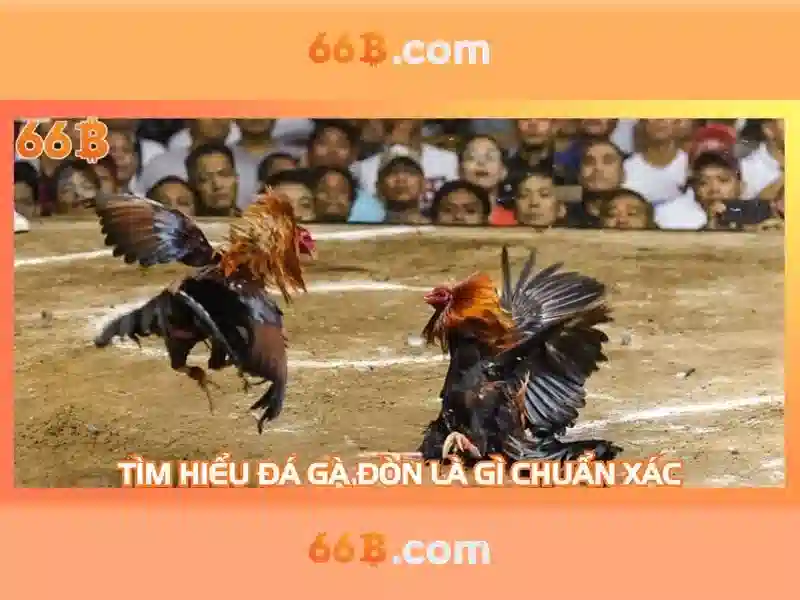 Tính năng nổi bật của ứng dụng 66B