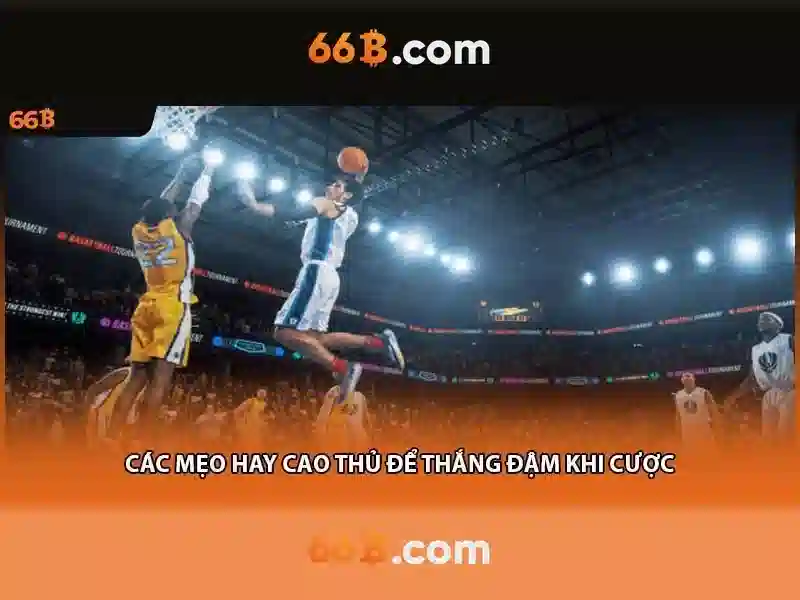 66B Cập Nhật