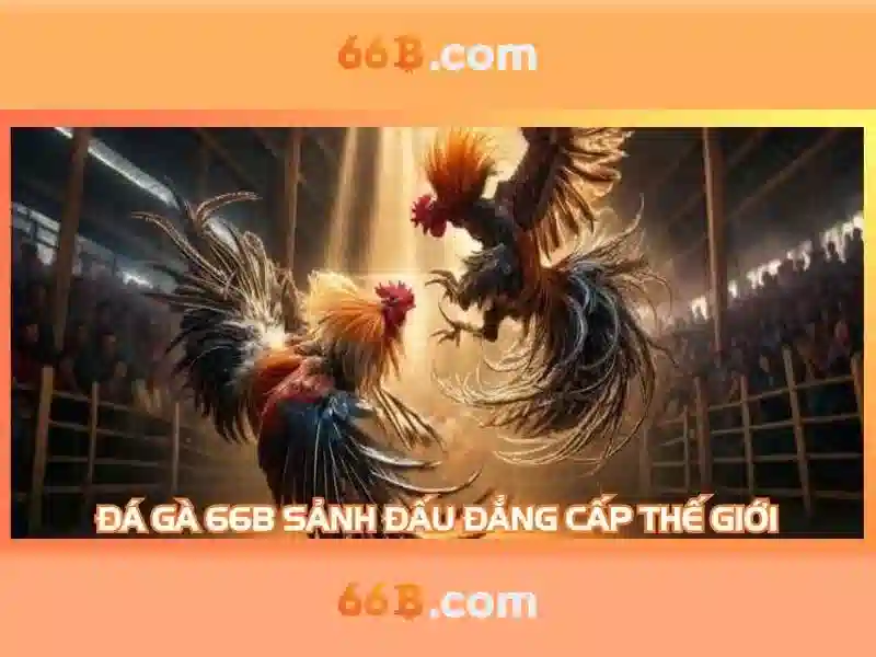 hướng dẫn sử dụng Slot 66B