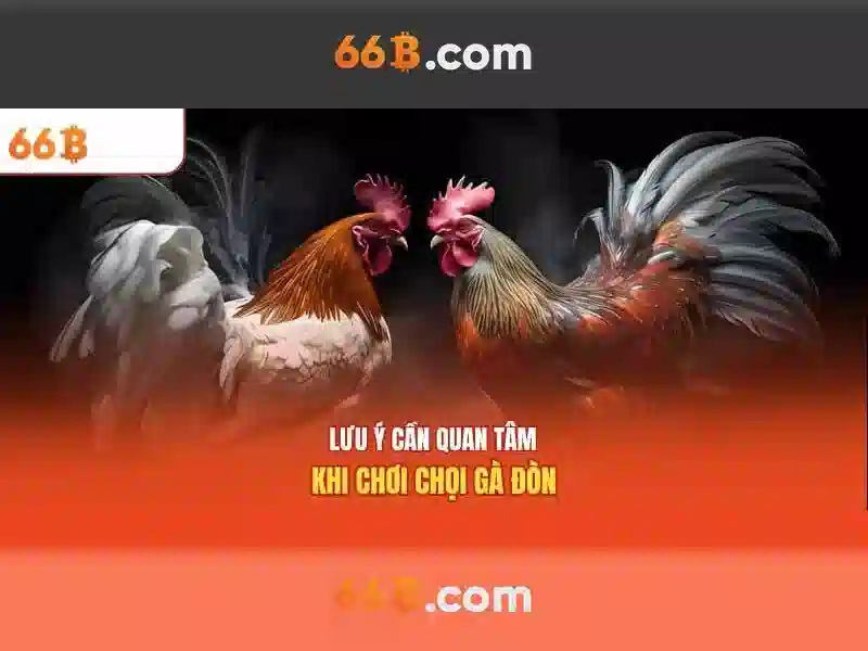Chương trình 66b tặng tiền