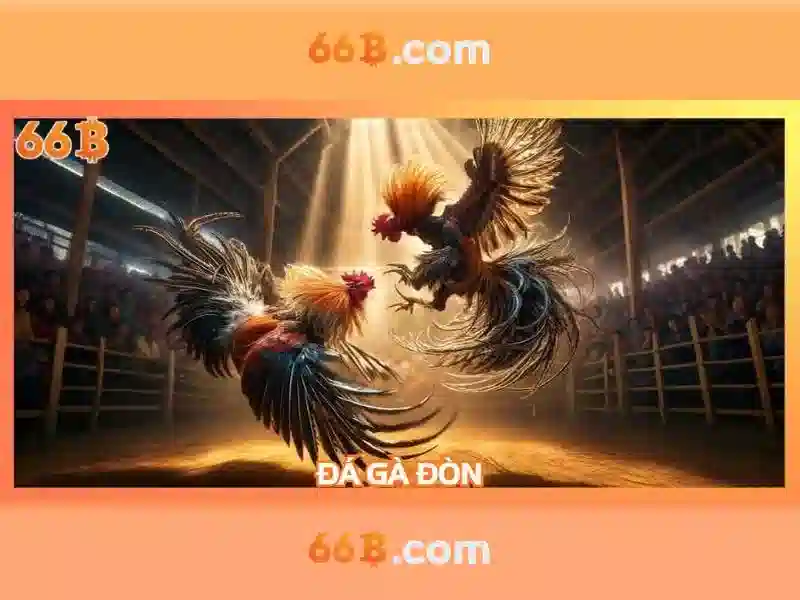 Hướng Dẫn Đăng Nhập 66B Nhanh Chóng