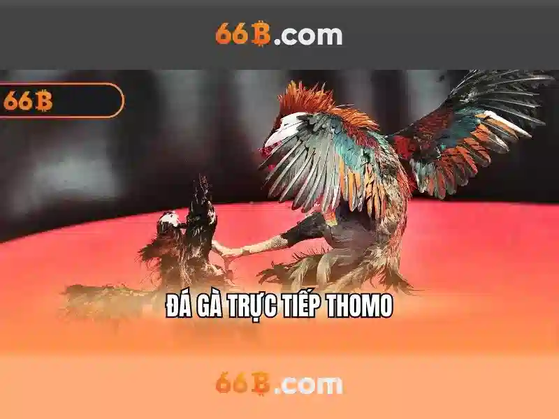 Hỗ trợ 66B