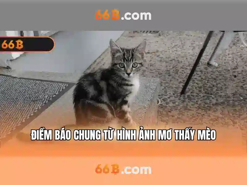 Ứng dụng 66B Android