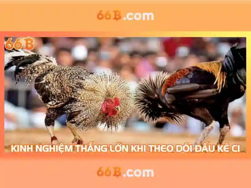 Trò chơi slot đa dạng
