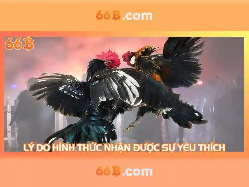 Hướng dẫn chơi xóc đĩa 66B