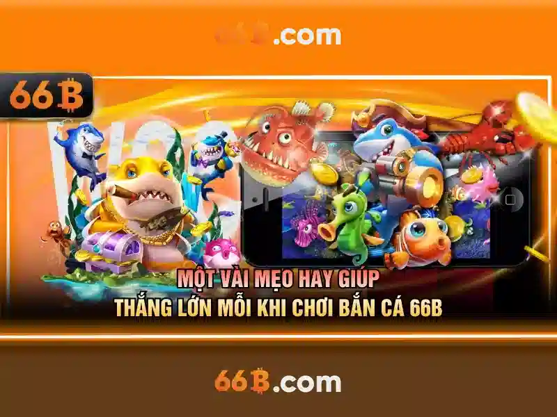 Giới Thiệu Về 66B