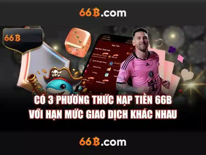 Ứng Dụng 66B iOS