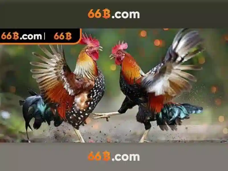 Khuyến Mãi 66B