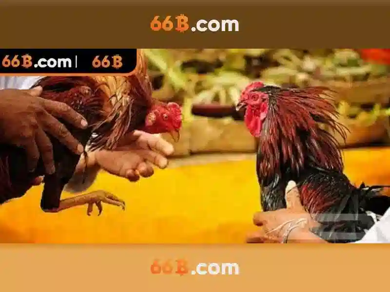 Cách Thực Hiện Rút Tiền Tại 66B