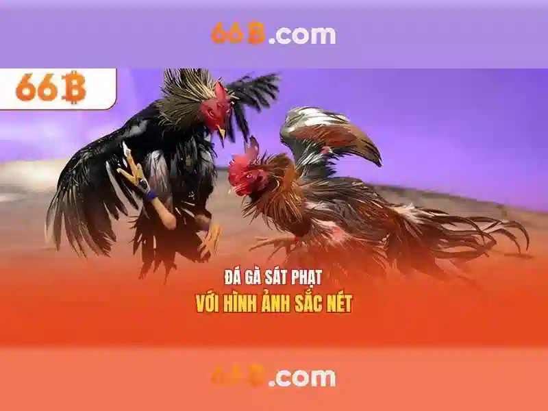 Hướng dẫn nạp tiền Slot 66B chính thức