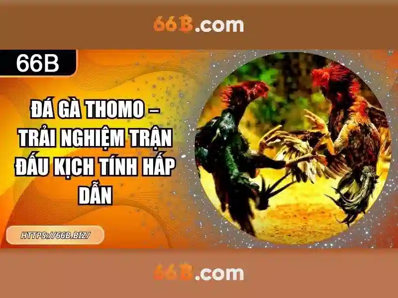 Ưu Điểm Của Slot 66B