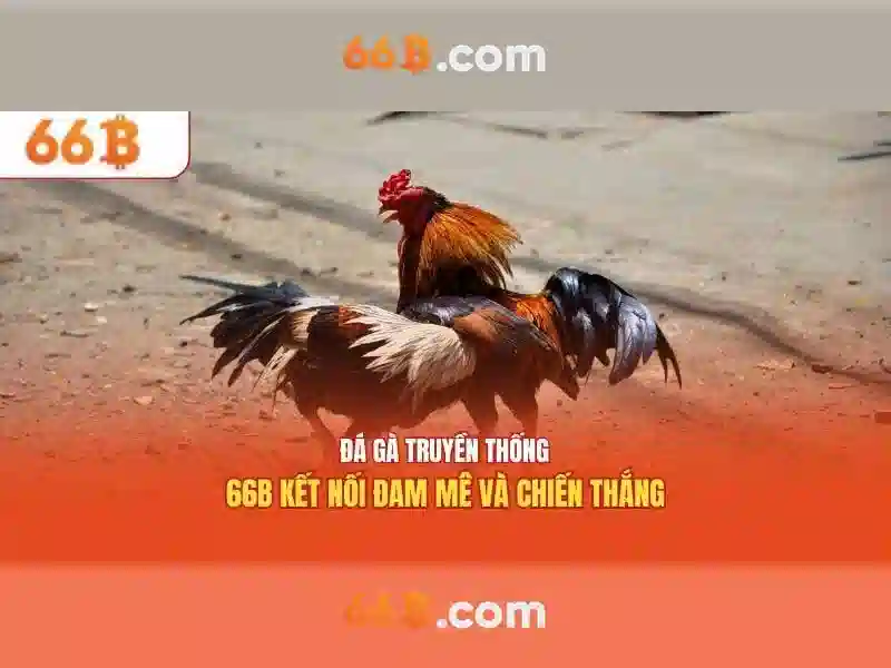 Trải Nghiệm Slot Đỉnh Cao Tại 66B