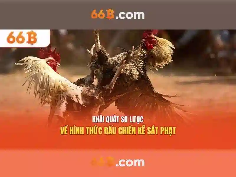 Tính năng nổi bật của 66B