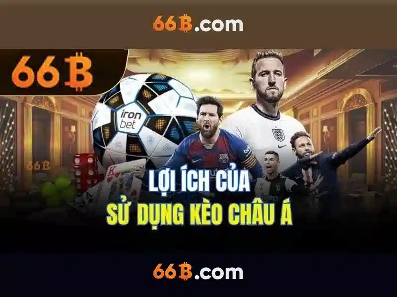 Hệ thống hỗ trợ khách hàng 66B