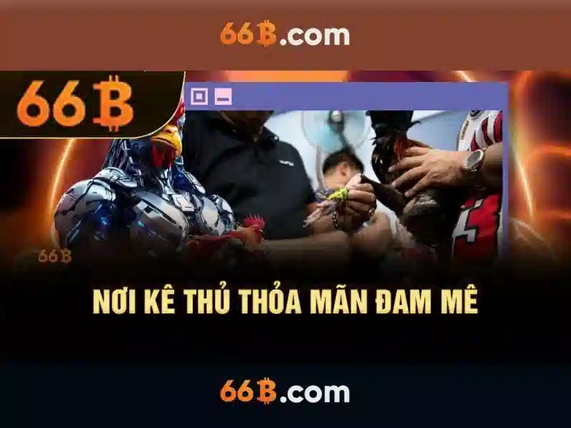 Tính năng hỗ trợ 66B