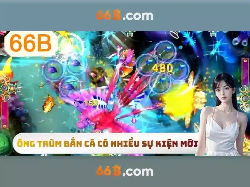 66B Cập Nhật