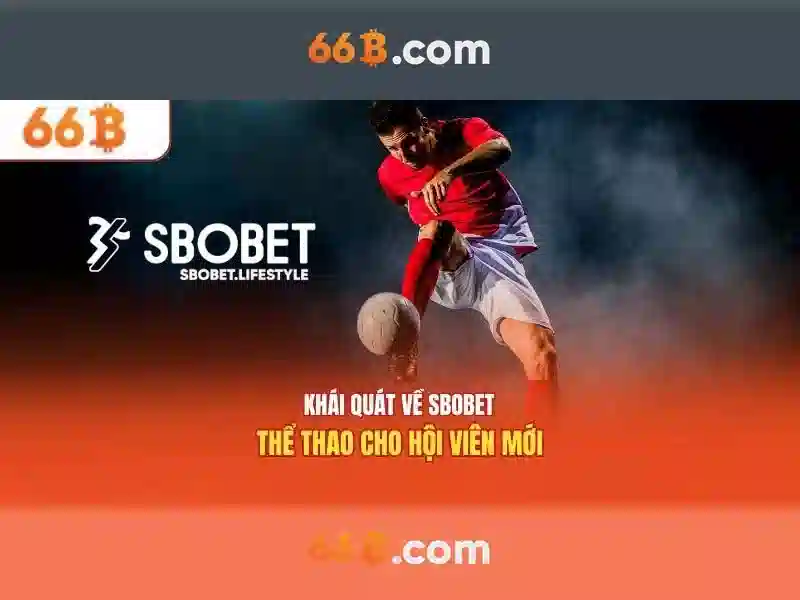 Hướng Dẫn Đăng Nhập 66B