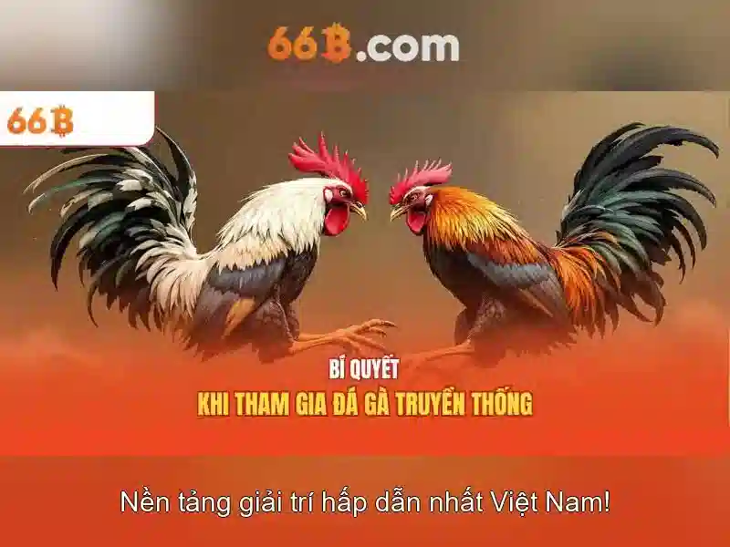 Ưu đãi 66B giftcode