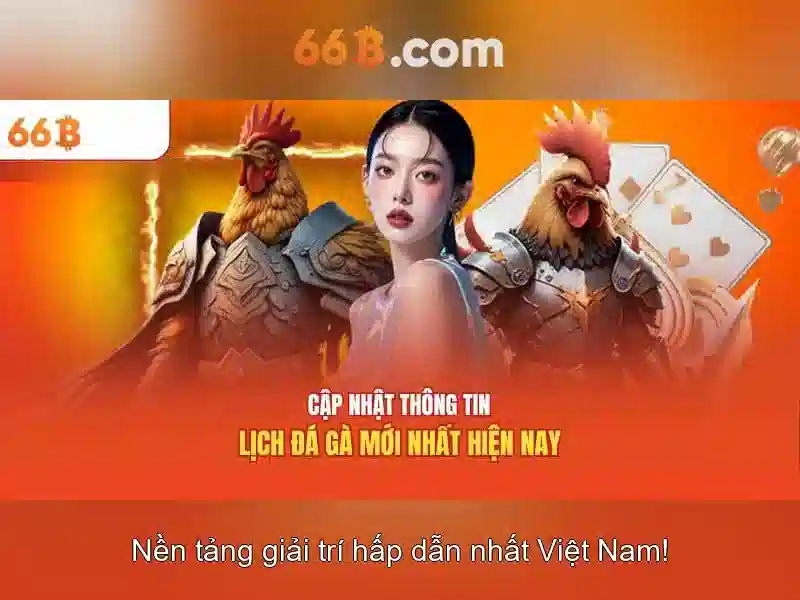 Giới Thiệu 66B
