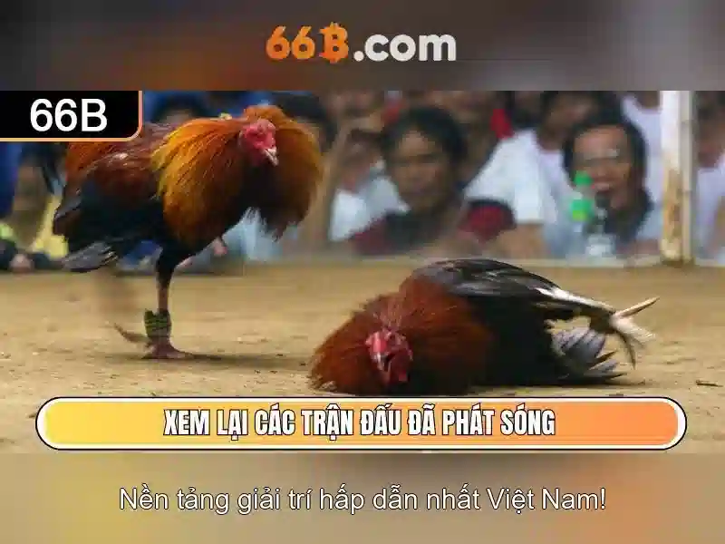 Khuyến Mãi 66B