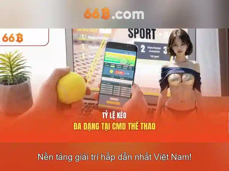 Hướng dẫn sử dụng 66B