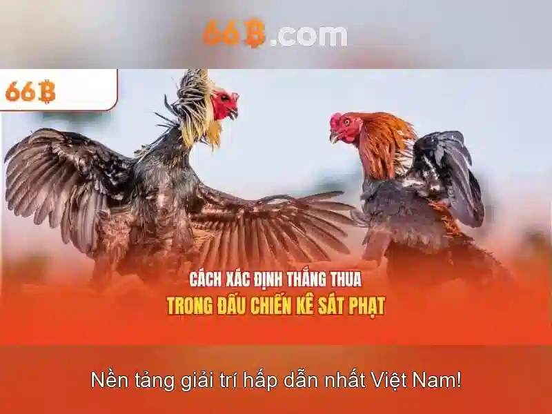Trải nghiệm slot đỉnh cao 66B App