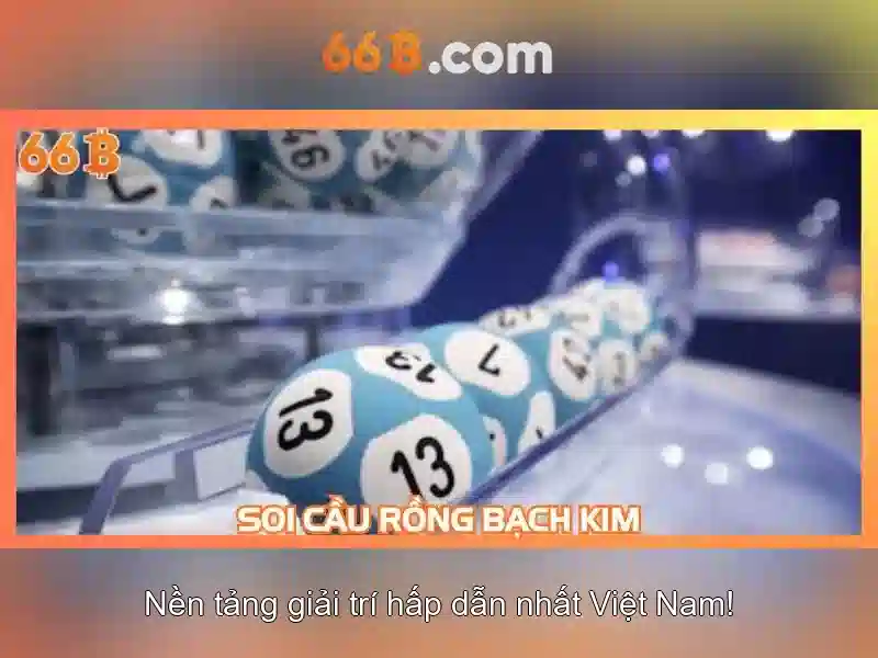 Hỗ Trợ Liên Hệ 66B
