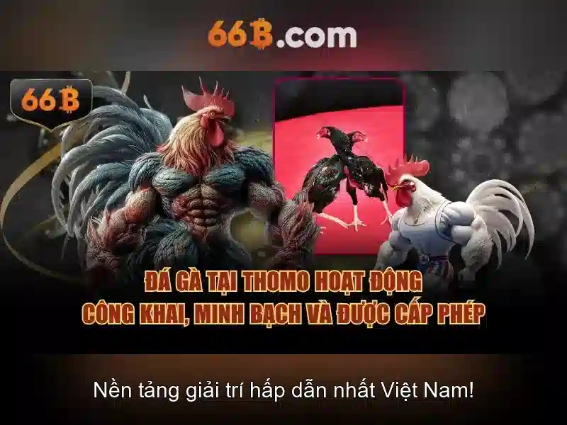 Hướng dẫn nhanh chóng để vào Slot 66B chính thức