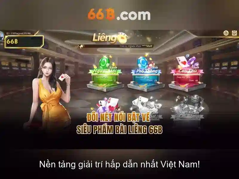 quản lý tài chính 66B