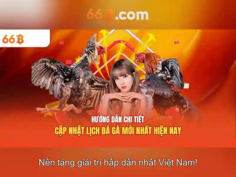 Tải 66B – Ứng Dụng Di Động 66B