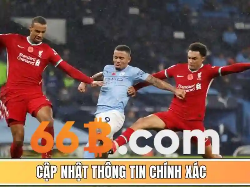 thể thao 66B